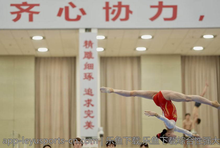 乐鱼下载,乐鱼下载综合性强大娱乐应用