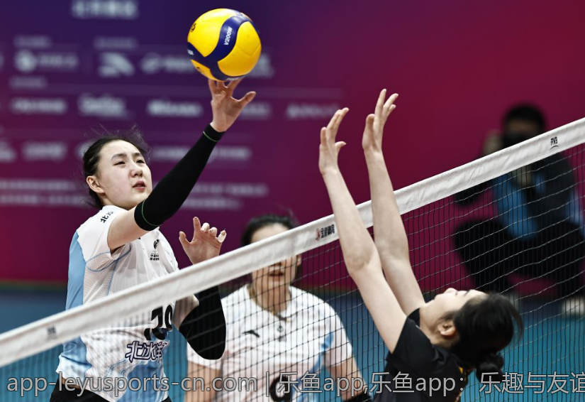 乐鱼app,乐鱼app：乐趣与友谊交织的快乐时光